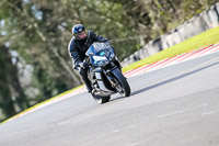 Oulton-Park-20th-March-2020;PJ-Motorsport-Photography-2020;anglesey;brands-hatch;cadwell-park;croft;donington-park;enduro-digital-images;event-digital-images;eventdigitalimages;mallory;no-limits;oulton-park;peter-wileman-photography;racing-digital-images;silverstone;snetterton;trackday-digital-images;trackday-photos;vmcc-banbury-run;welsh-2-day-enduro